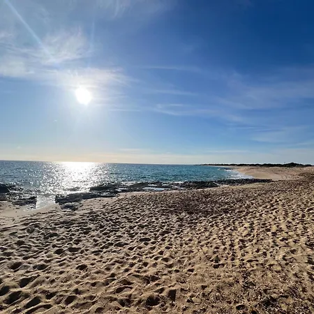 Casa Colimena 公寓