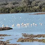 Casa Colimena Lägenhet Torre Colimena