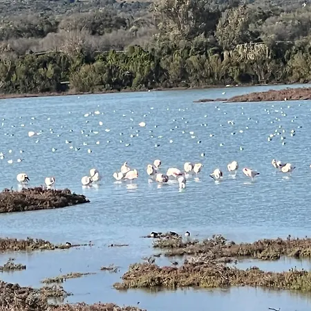 Casa Colimena Апартаменты Торре-Колимена