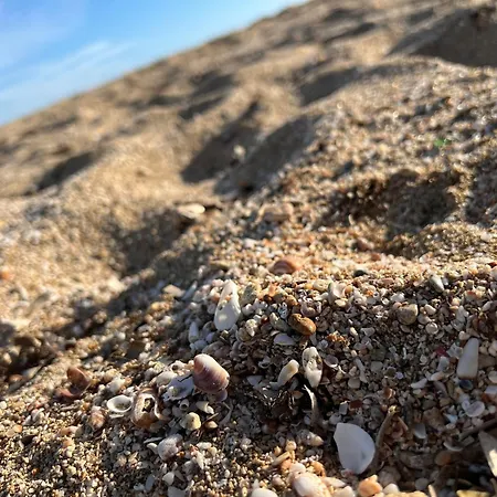 Casa Colimena Apartamento *