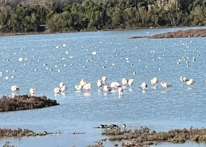 Casa Colimena Appartamento Torre Colimena